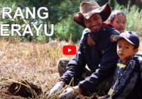 Video Dokumenter : Orang Serayu