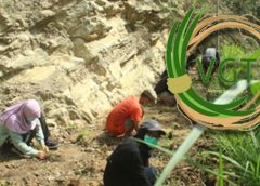 Vetiver Grass Tech: Solusi Mitigasi Tanah Longsor di Dusun Magirejo, Ngalang, Gunungkidul